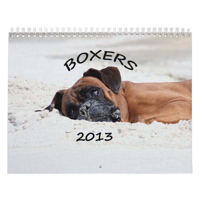 Calendario 2013 del boxeador (Tapa)
