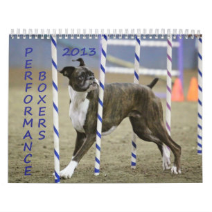 Calendario 2013 del boxeador del funcionamiento
