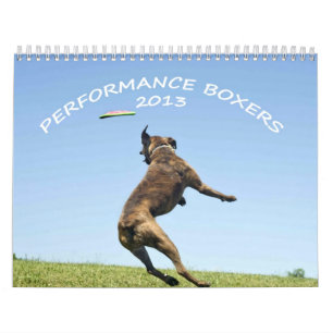 Calendario 2013 del boxeador del funcionamiento