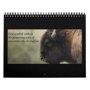 Calendario 2013 del búfalo