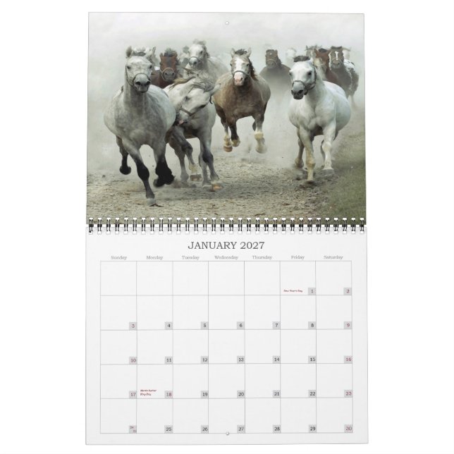 Calendario 2013 del caballo (Jan 2027)