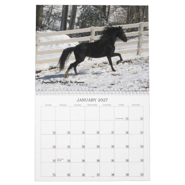 Calendario 2013 del caballo de la montaña (Jan 2027)