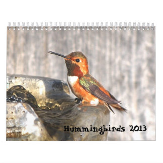 Calendario 2013 del colibrí