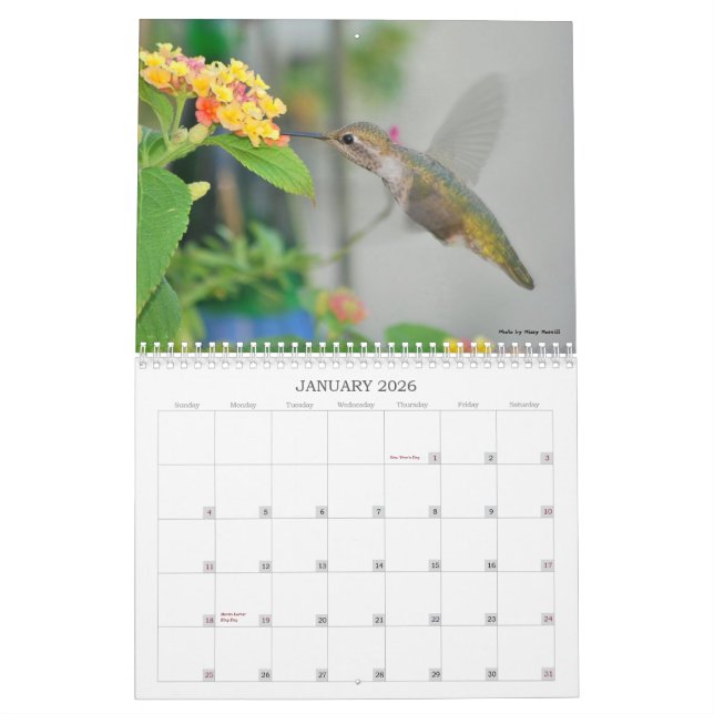Calendario 2013 del colibrí (Jan 2026)