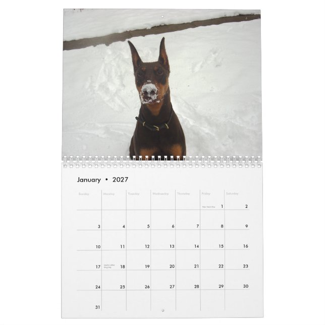 Calendario 2013 del Doberman (Jan 2027)