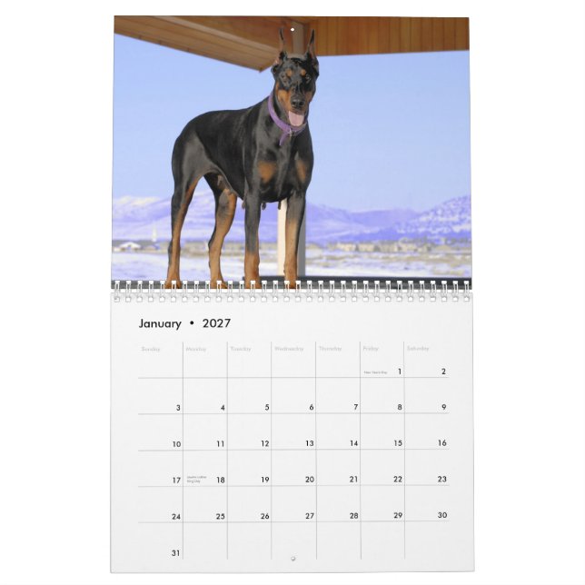 Calendario 2013 del Doberman (Jan 2027)