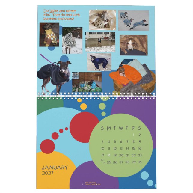 Calendario 2013 del galgo italiano de IGWhispers (Jan 2027)