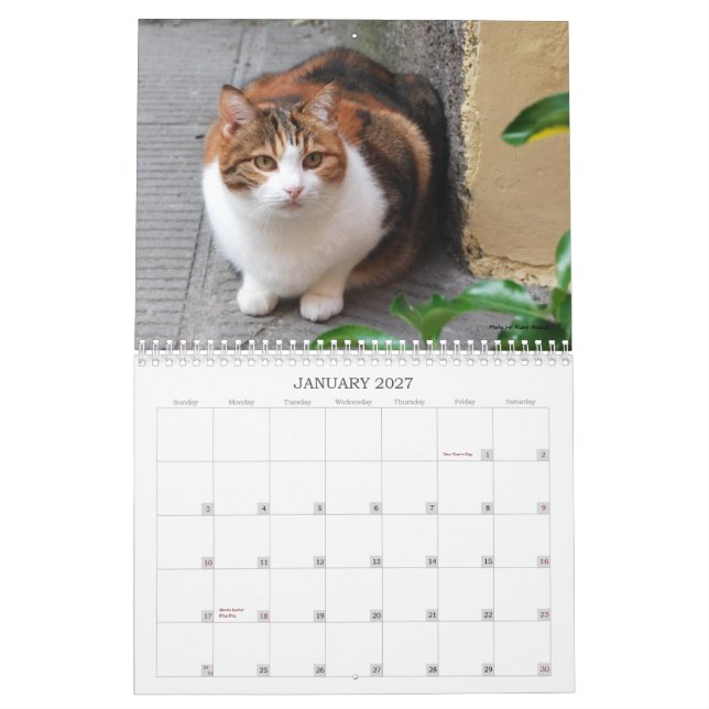 Calendario 2013 del gato (Jan 2027)