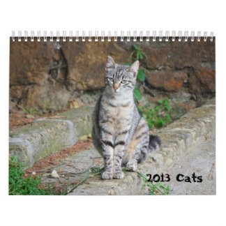 Calendario 2013 del gato