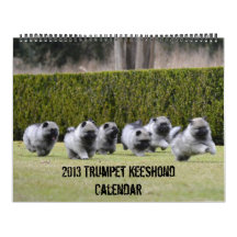 Calendario 2013 del Keeshond de la trompeta