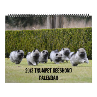 Calendario 2013 del Keeshond de la trompeta