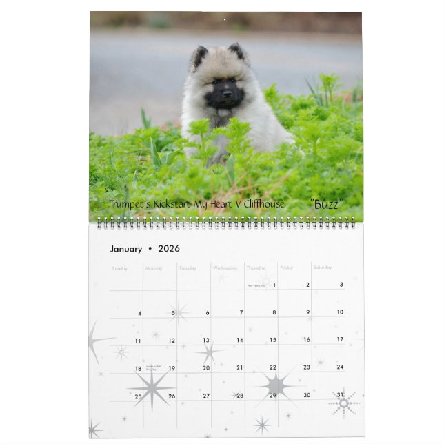 Calendario 2013 del Keeshond de la trompeta (Jan 2026)