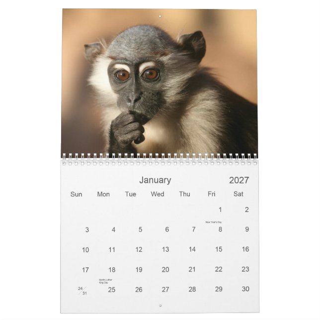 Calendario 2013 del mono (Jan 2027)