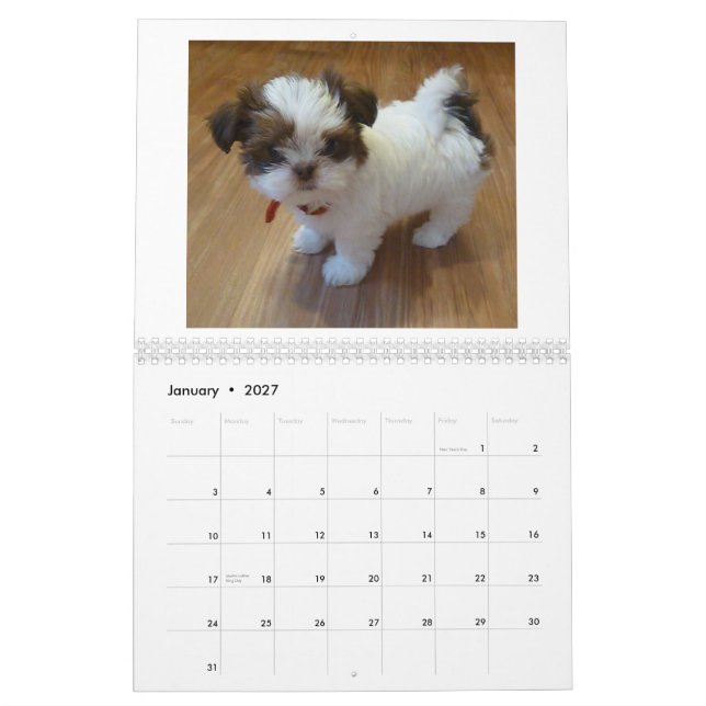 Calendario 2013 del perrito de Shih Tzu (Jan 2027)