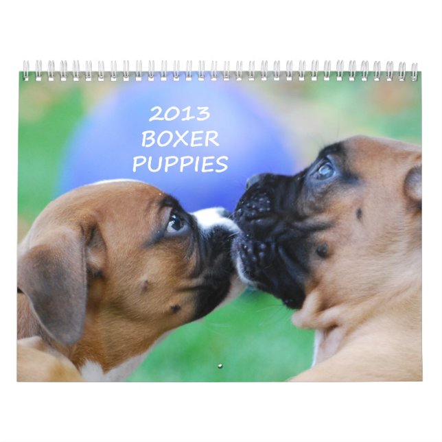 Calendario 2013 del perrito del boxeador (Tapa)