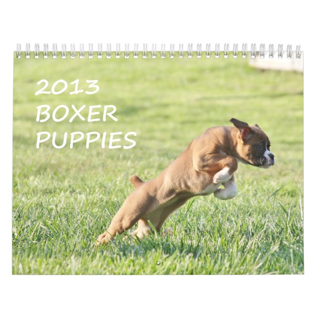 Calendario 2013 del perrito del boxeador (Tapa)
