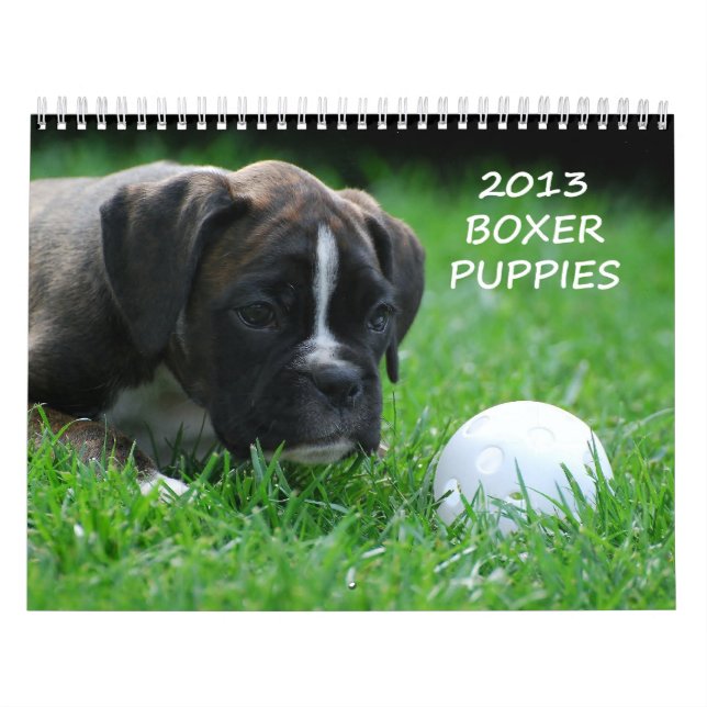 Calendario 2013 del perrito del boxeador (Tapa)