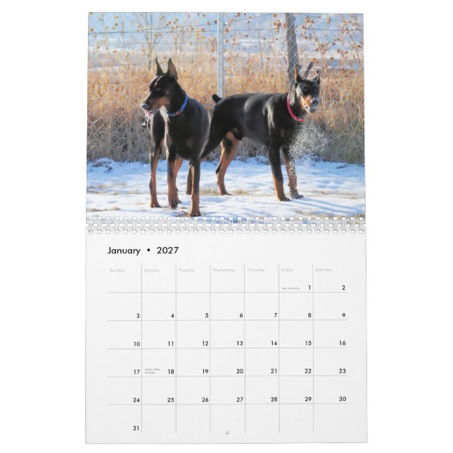Calendario 2013 del perrito del Doberman (Jan 2027)