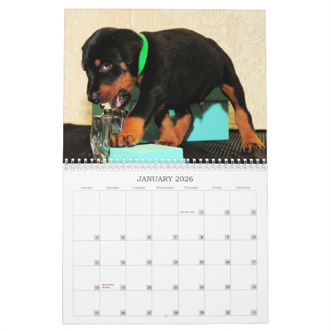Calendario 2013 del perrito del Doberman (Jan 2026)