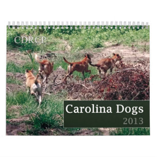 Calendario 2013 del perro de Carolina