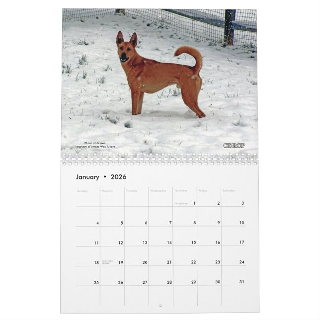Calendario 2013 del perro de Carolina (Jan 2026)