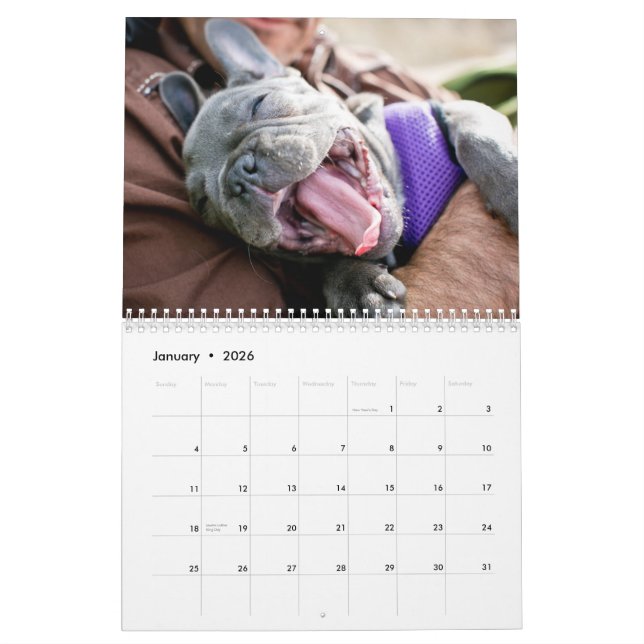 Calendario 2013 del pollo (Jan 2026)