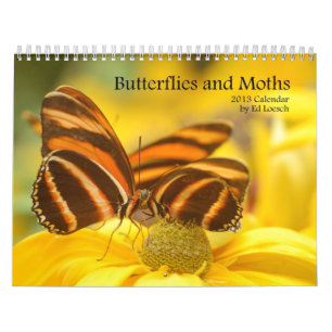 Calendario 2013 - mariposas y polillas