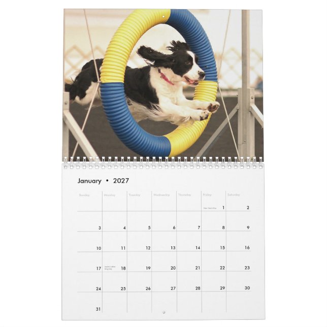 Calendario 2013 perros de aguas de saltador inglés (Jan 2027)
