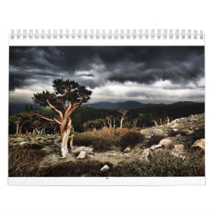 calendario 2013 por TylerJphoto
