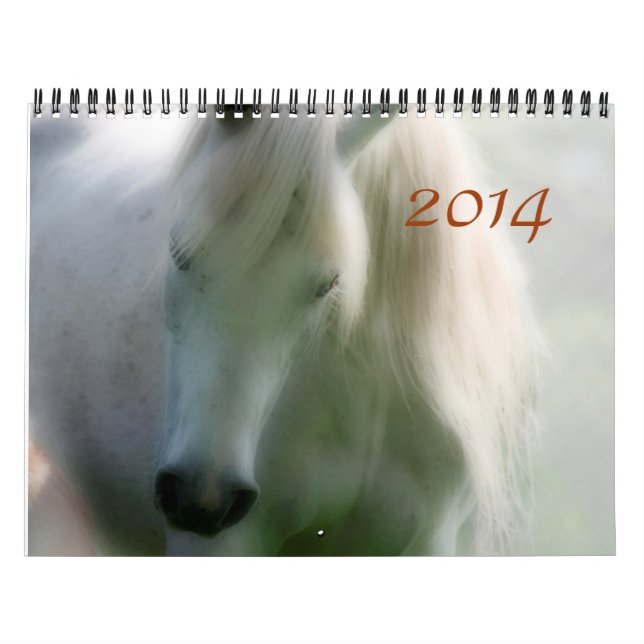 Calendario 2014 árabes - alegría de la vida (Tapa)