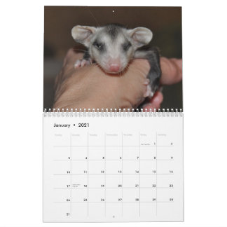 Calendario 2014 - Bebés de Possum