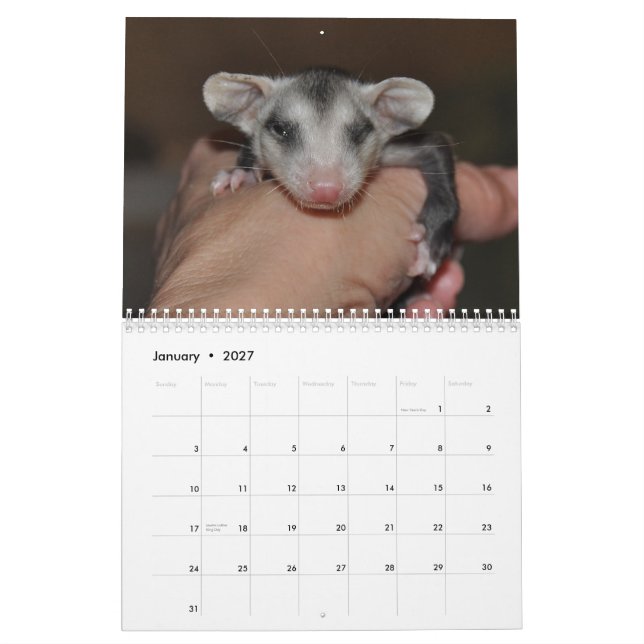 Calendario 2014 - Bebés de Possum (Jan 2027)