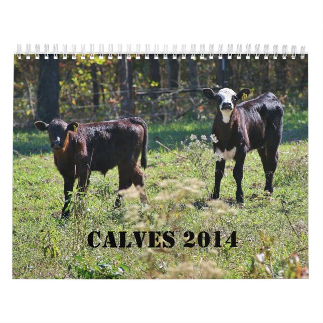Calendario 2014 becerros (Tapa)