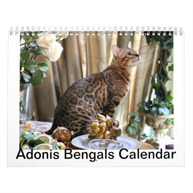 Calendario 2014 de AdonisBengals (Tapa)