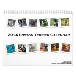 Calendario 2014 de Boston Terrier
