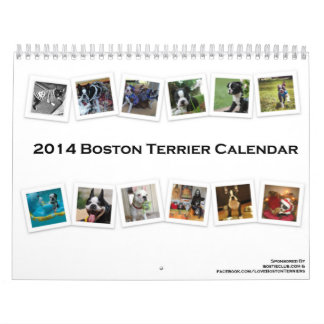 Calendario 2014 de Boston Terrier
