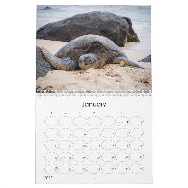 Calendario 2014 de la fotografía de Stonebraker (Jan 2027)