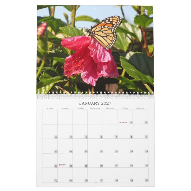 Calendario 2014 de la mariposa (Jan 2027)