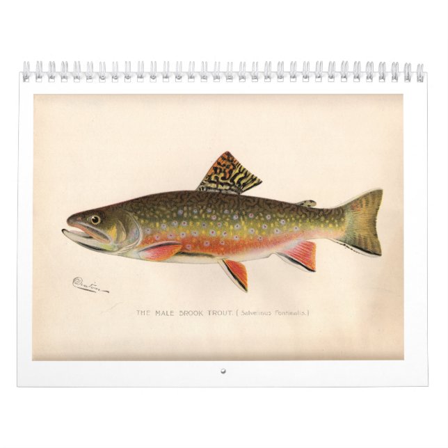 Calendario 2014 de la trucha de Sherman Denton (Tapa)