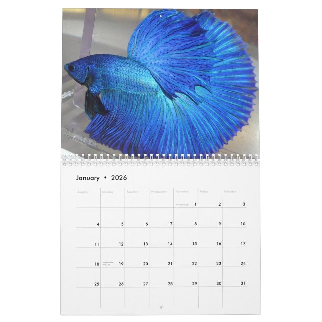 Calendario 2014 de los pescados de Betta de la (Jan 2026)