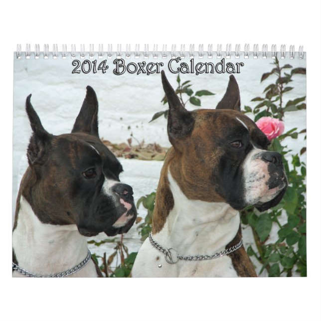 Calendario 2014 del boxeador (Tapa)