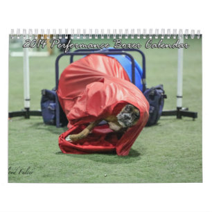 Calendario 2014 del boxeador del funcionamiento