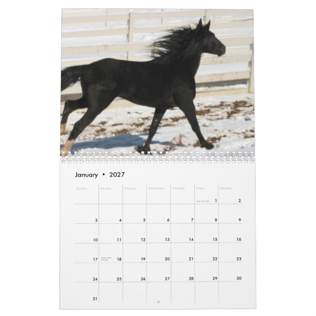 Calendario 2014 del caballo de la montaña (Jan 2027)