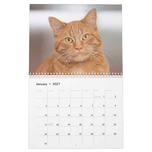 Calendario 2014 del Cats of Cats Cradle Shelter (Jan 2027)