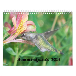 Calendario 2014 del colibrí
