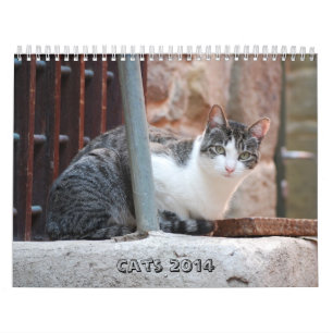 Calendario 2014 del gato
