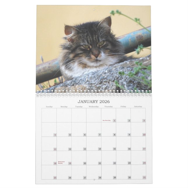 Calendario 2014 del gato (Jan 2026)