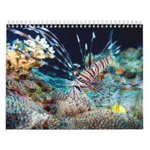 Calendario 2014 del mar de coral