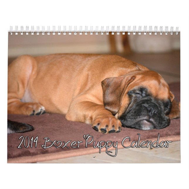 Calendario 2014 del perrito del boxeador (Tapa)