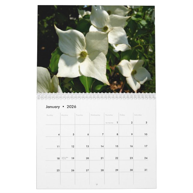 Calendario 2014 flores